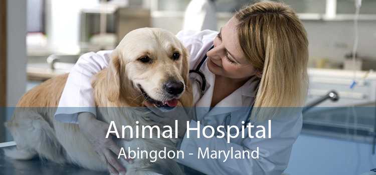 Animal Hospital Abingdon - Maryland