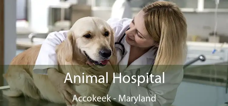 Animal Hospital Accokeek - Maryland