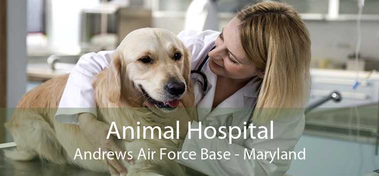 Animal Hospital Andrews Air Force Base - Maryland
