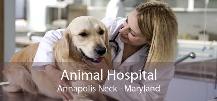 Animal Hospital Annapolis Neck - Maryland