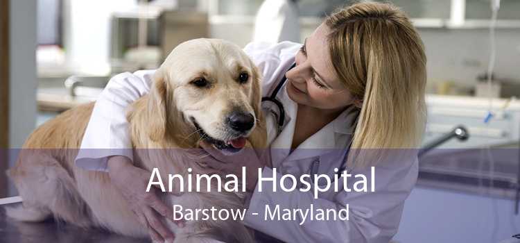 Animal Hospital Barstow - Maryland