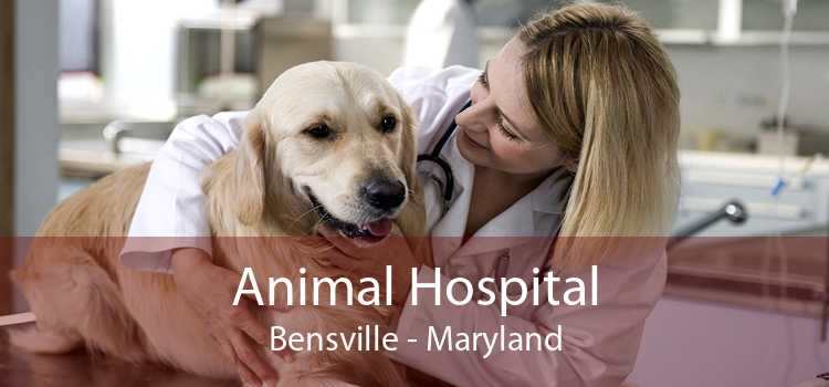 Animal Hospital Bensville - Maryland