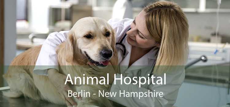 Animal Hospital Berlin - New Hampshire