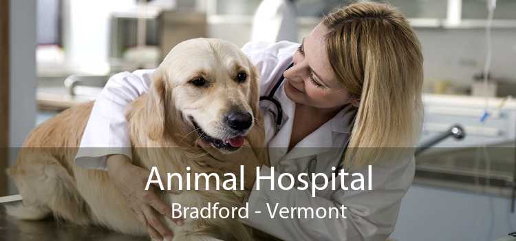 Animal Hospital Bradford - Vermont