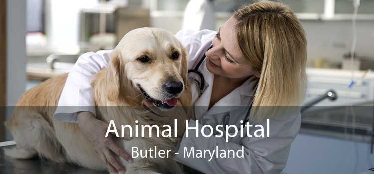 Animal Hospital Butler - Maryland