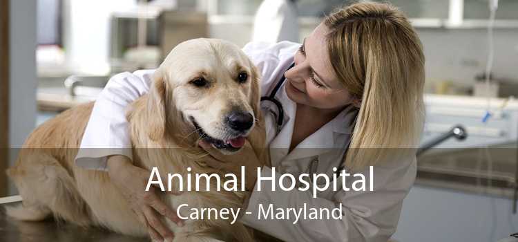 Animal Hospital Carney - Maryland