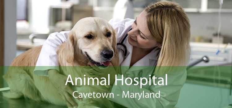 Animal Hospital Cavetown - Maryland