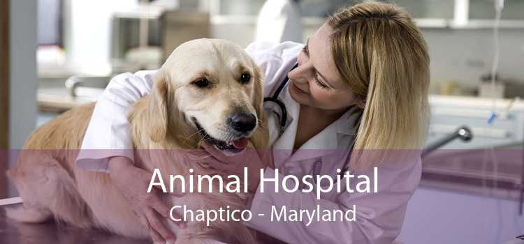 Animal Hospital Chaptico - Maryland
