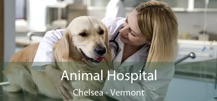 Animal Hospital Chelsea - Vermont
