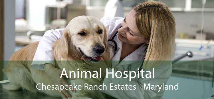 Animal Hospital Chesapeake Ranch Estates - Maryland