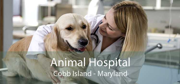 Animal Hospital Cobb Island - Maryland
