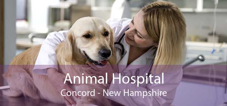 Animal Hospital Concord - New Hampshire