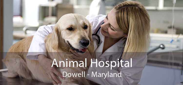 Animal Hospital Dowell - Maryland
