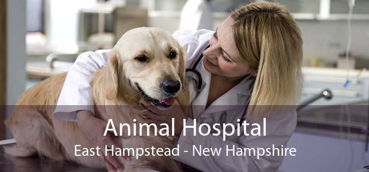 Animal Hospital East Hampstead - New Hampshire