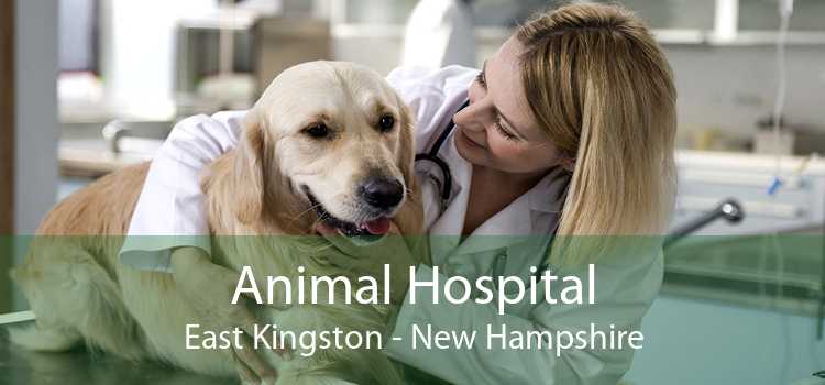 Animal Hospital East Kingston - New Hampshire