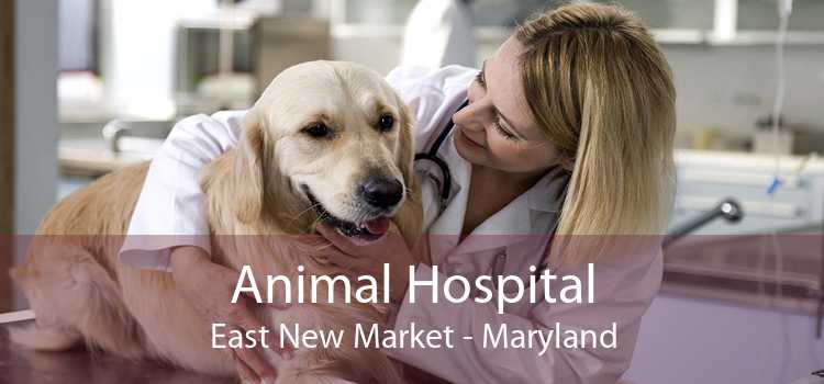 Animal Hospital East New Market - Maryland