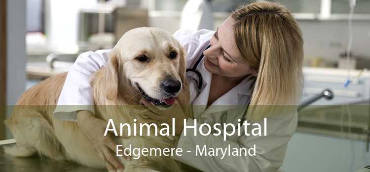 Animal Hospital Edgemere - Maryland