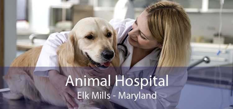 Animal Hospital Elk Mills - Maryland