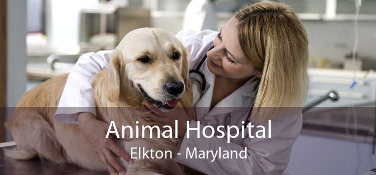 Animal Hospital Elkton - Maryland
