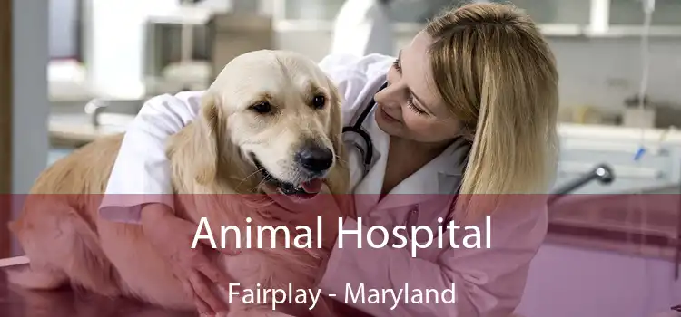 Animal Hospital Fairplay - Maryland