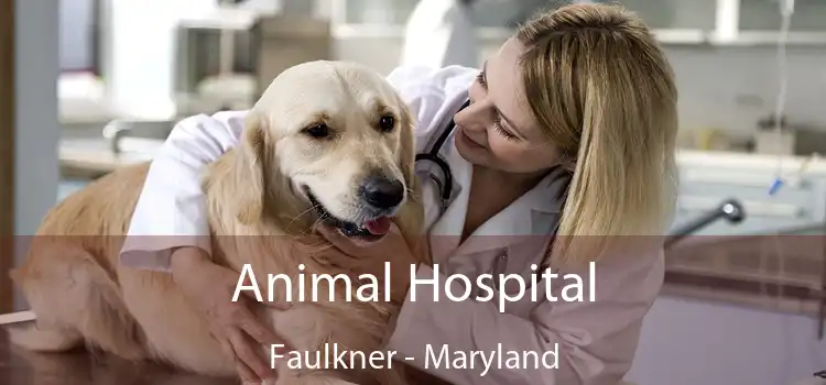 Animal Hospital Faulkner - Maryland