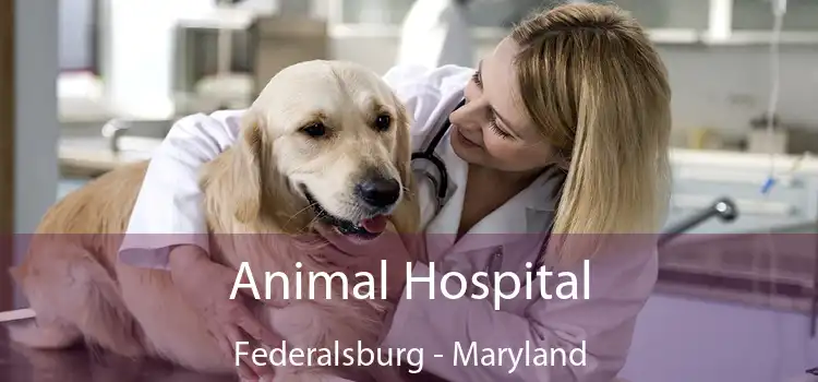 Animal Hospital Federalsburg - Maryland