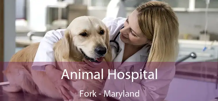 Animal Hospital Fork - Maryland