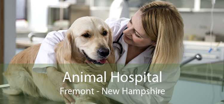 Animal Hospital Fremont - New Hampshire