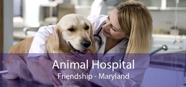Animal Hospital Friendship - Maryland