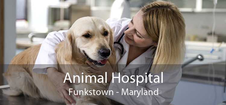 Animal Hospital Funkstown - Maryland