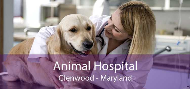 Animal Hospital Glenwood - Maryland