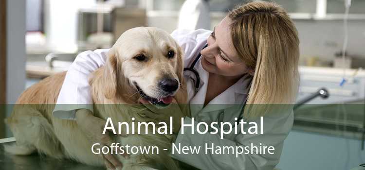 Animal Hospital Goffstown - New Hampshire