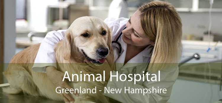 Animal Hospital Greenland - New Hampshire