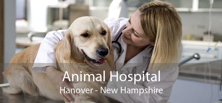 Animal Hospital Hanover - New Hampshire