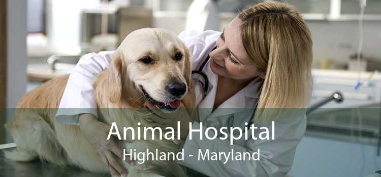 Animal Hospital Highland - Maryland