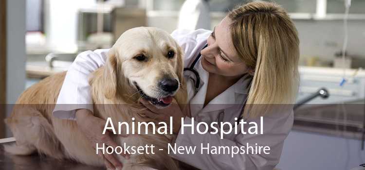 Animal Hospital Hooksett - New Hampshire