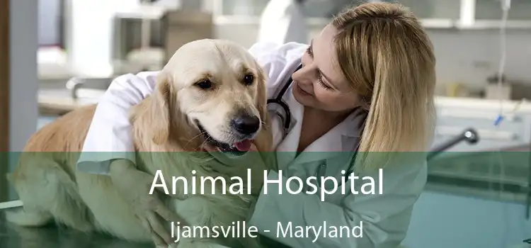 Animal Hospital Ijamsville - Maryland