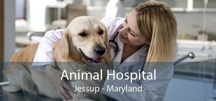 Animal Hospital Jessup - Maryland