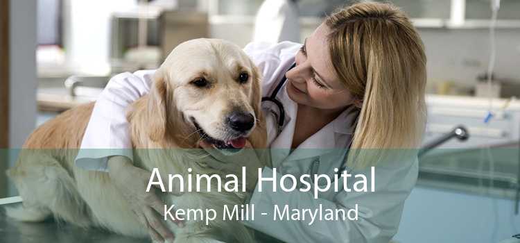 Animal Hospital Kemp Mill - Maryland