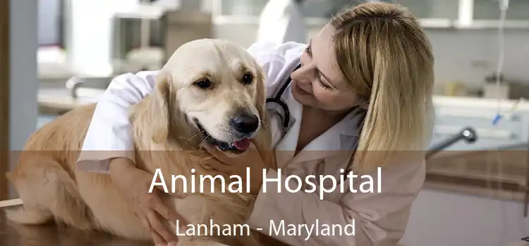 Animal Hospital Lanham - Maryland