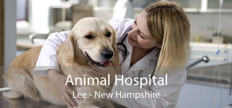 Animal Hospital Lee - New Hampshire