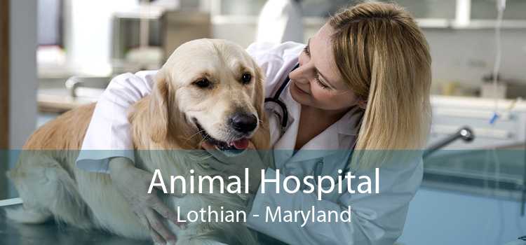 Animal Hospital Lothian - Maryland