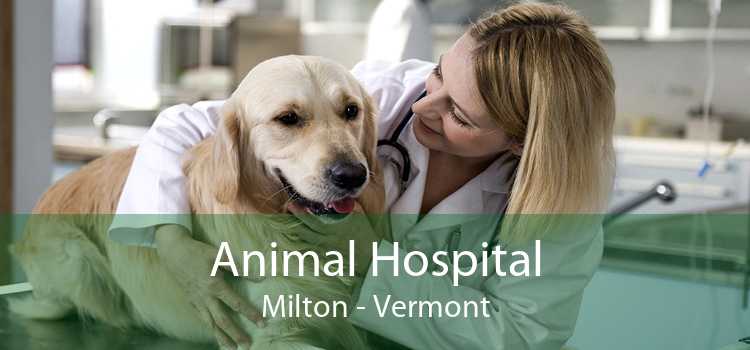 Animal Hospital Milton - Vermont