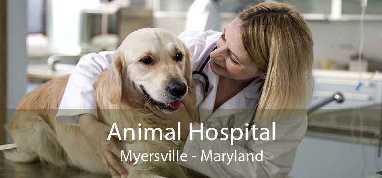 Animal Hospital Myersville - Maryland