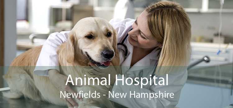 Animal Hospital Newfields - New Hampshire