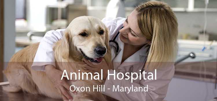 Animal Hospital Oxon Hill - Maryland
