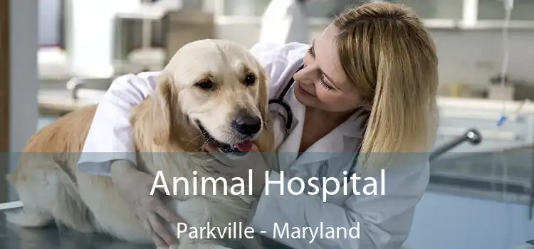 Animal Hospital Parkville - Maryland