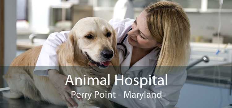 Animal Hospital Perry Point - Maryland
