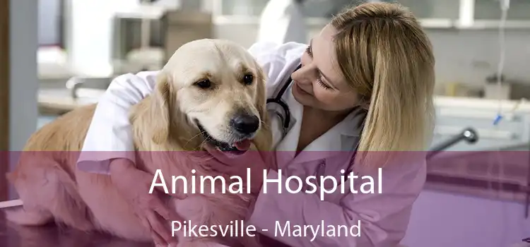 Animal Hospital Pikesville - Maryland