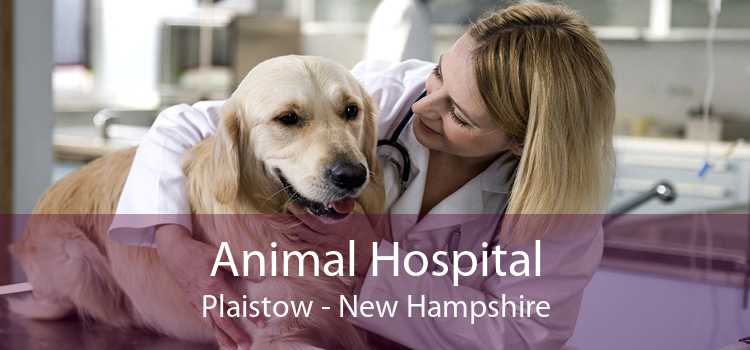 Animal Hospital Plaistow - New Hampshire